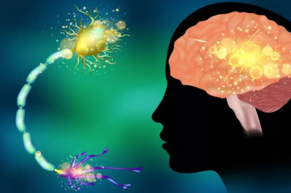 有效治疗成人癫痫病的方法