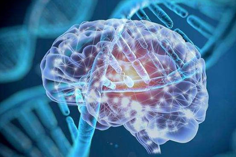 癫痫怎样去治疗效果较好?