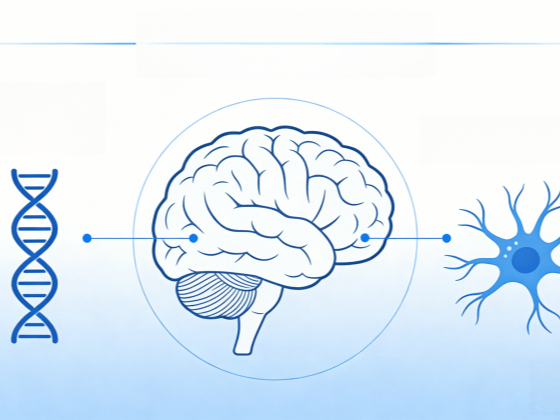 原发性癫痫的3种常见类型，看看你属于哪一种